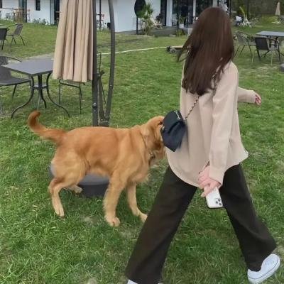 野蛮公主